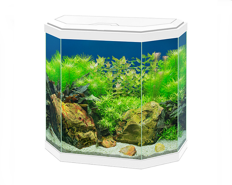 Ciano Aqua 30l Aquarium With LED Light White 25L The Trop Company